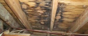 attic-roof-leaks